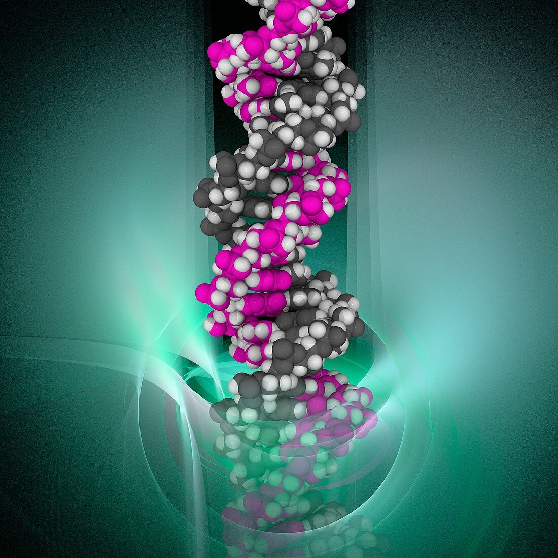 DNA molecule,artwork