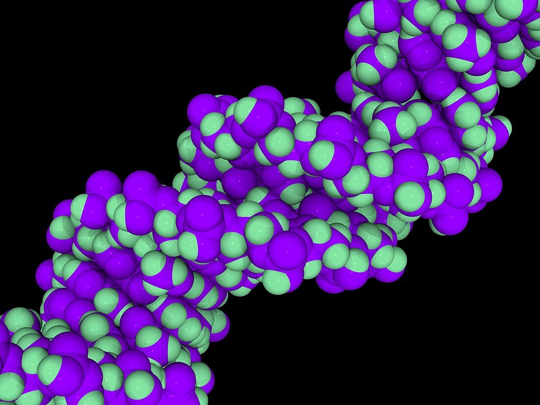 DNA molecule,artwork