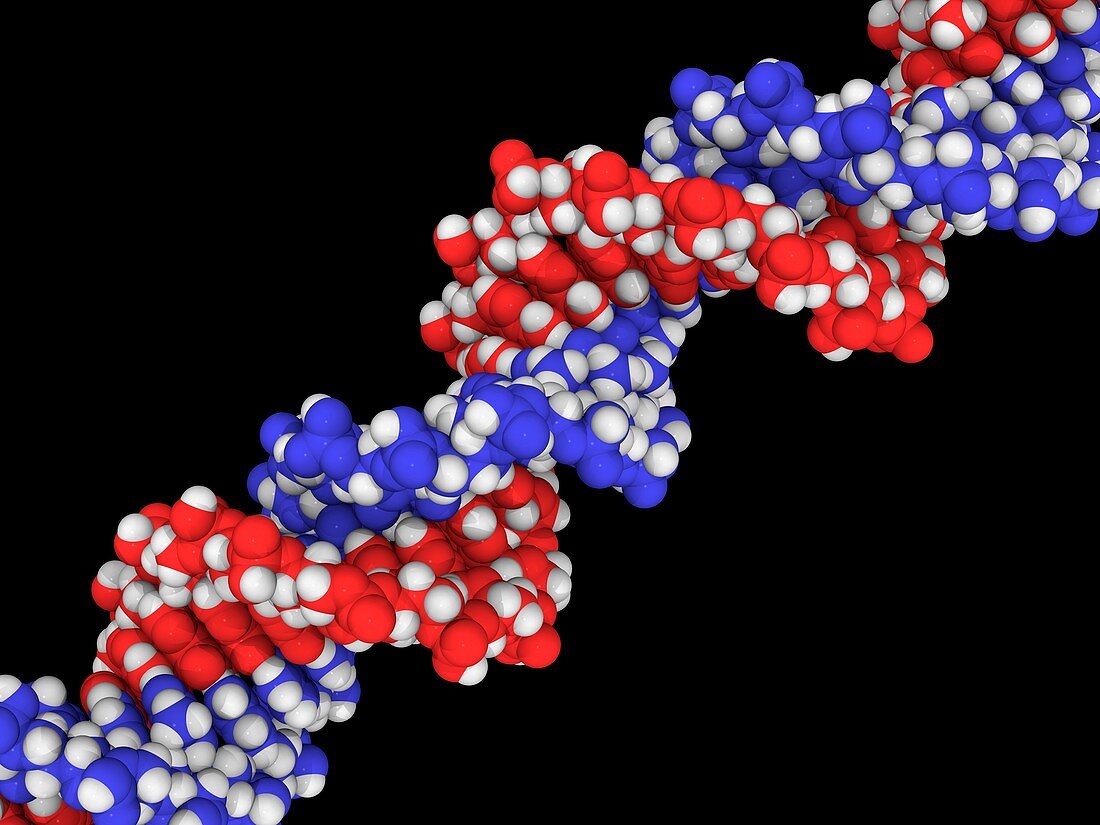 DNA molecule,artwork