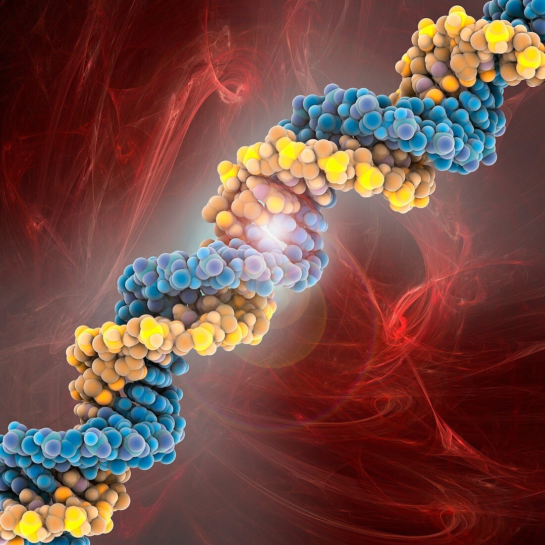 DNA molecule,artwork