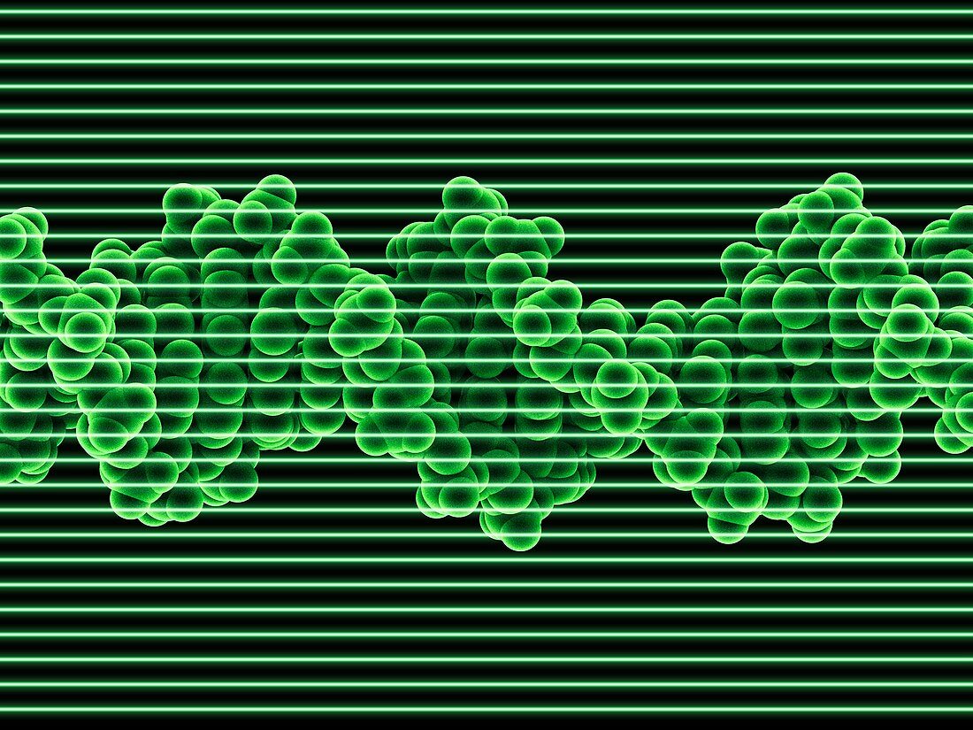 DNA molecule,artwork