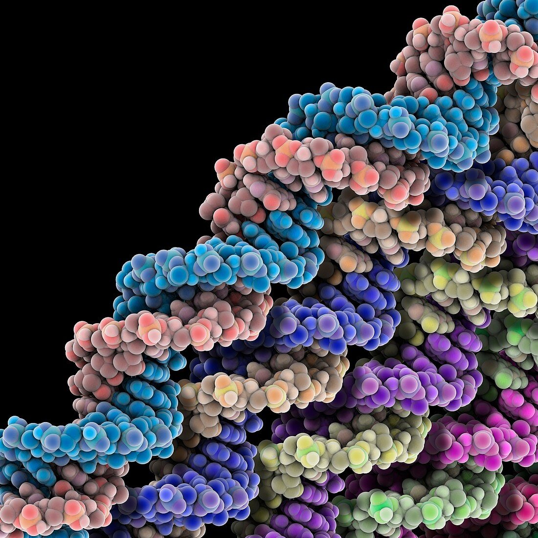 DNA molecules,artwork