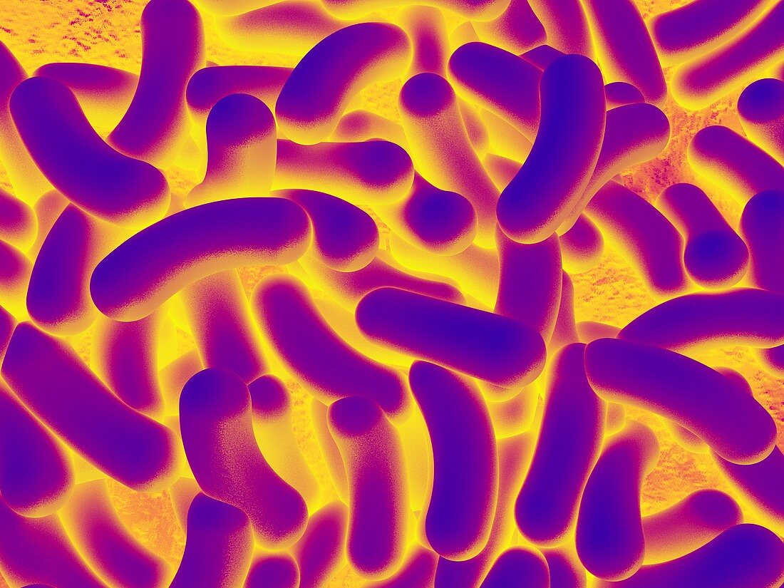 Bacteria,artwork