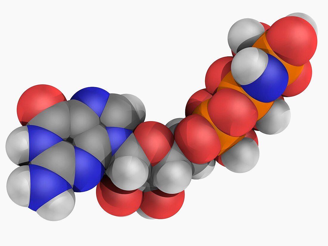 Guanylyl imidodiphosphate molecule