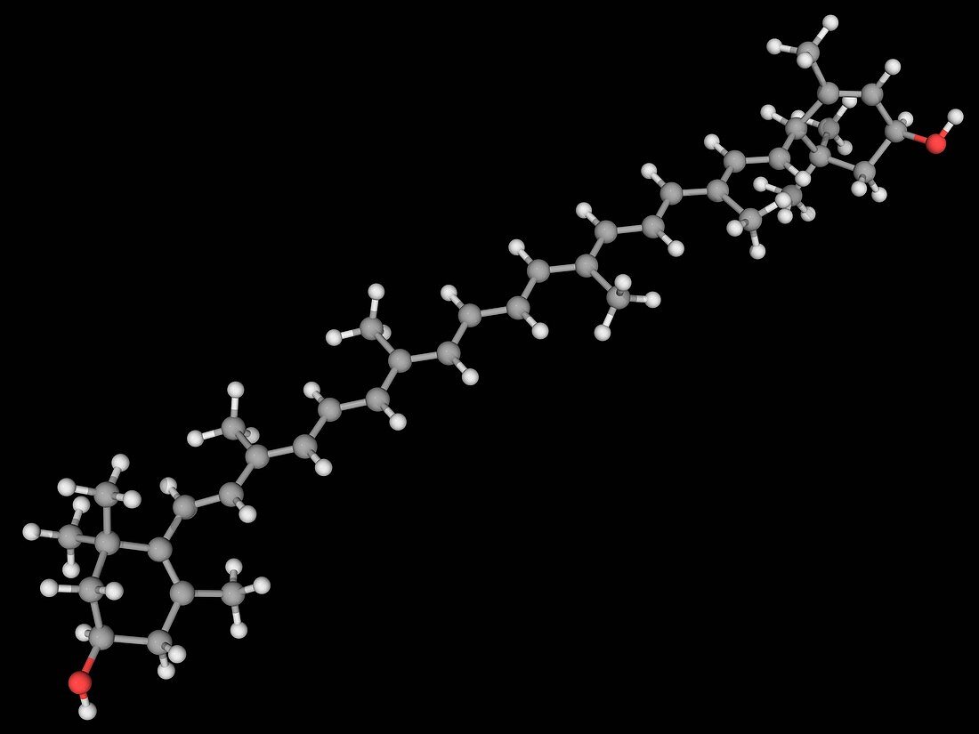 Lutein molecule