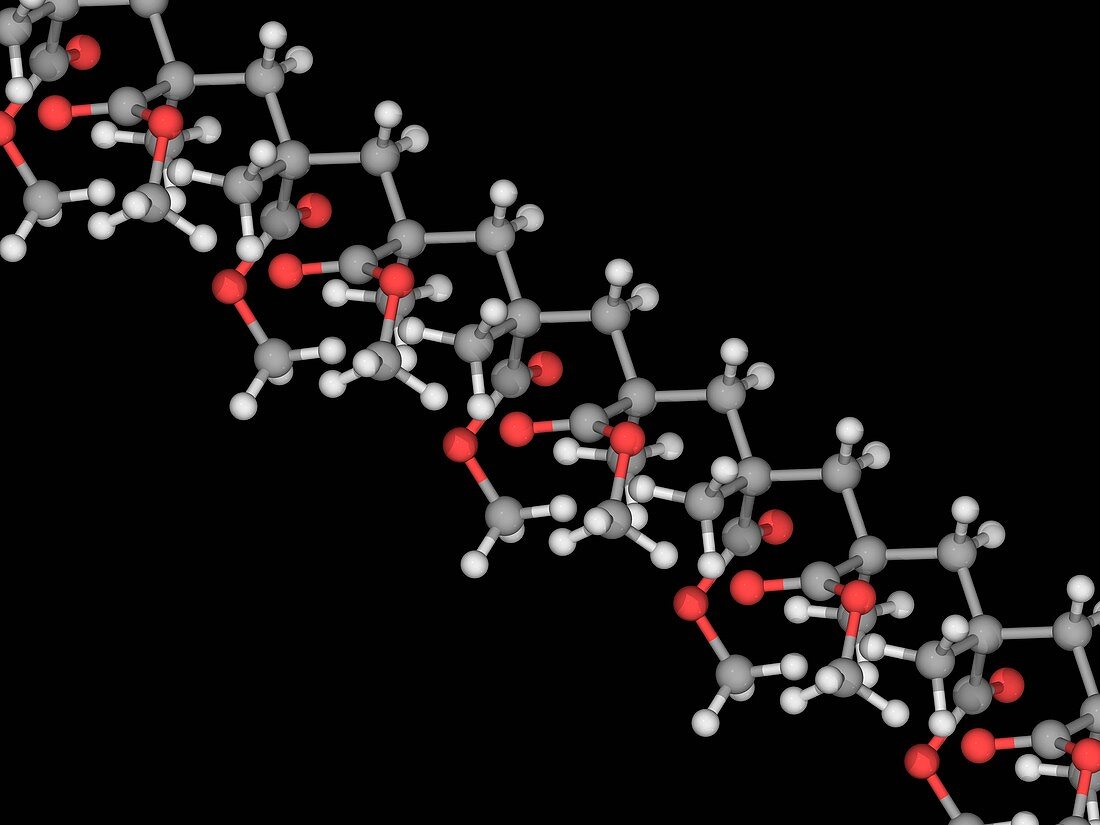 Polymethyl methacrylate molecule