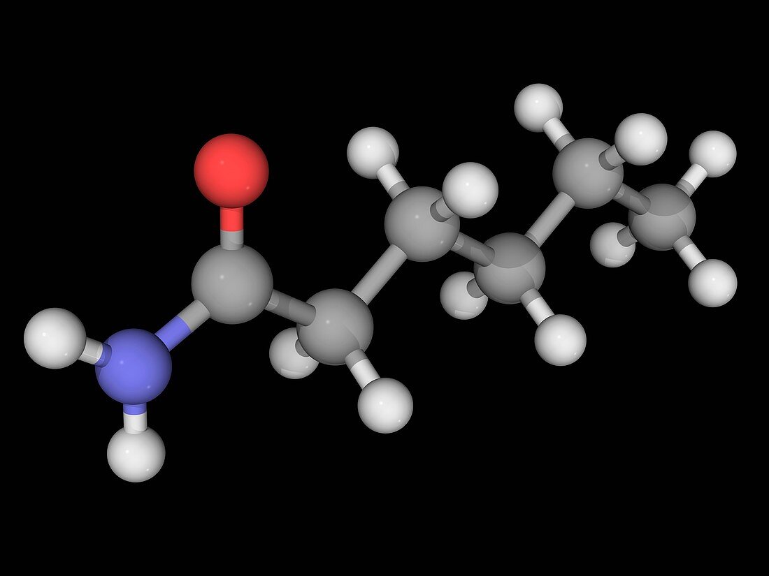 Hexanamide molecule