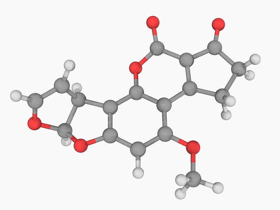 Aflatoxin B1 molecule