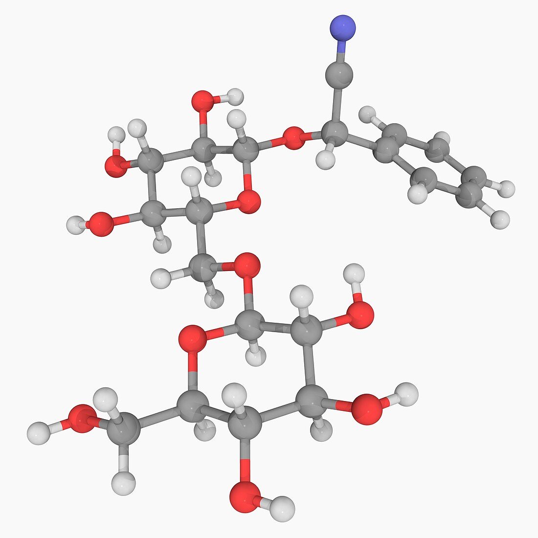 Amygdalin molecule