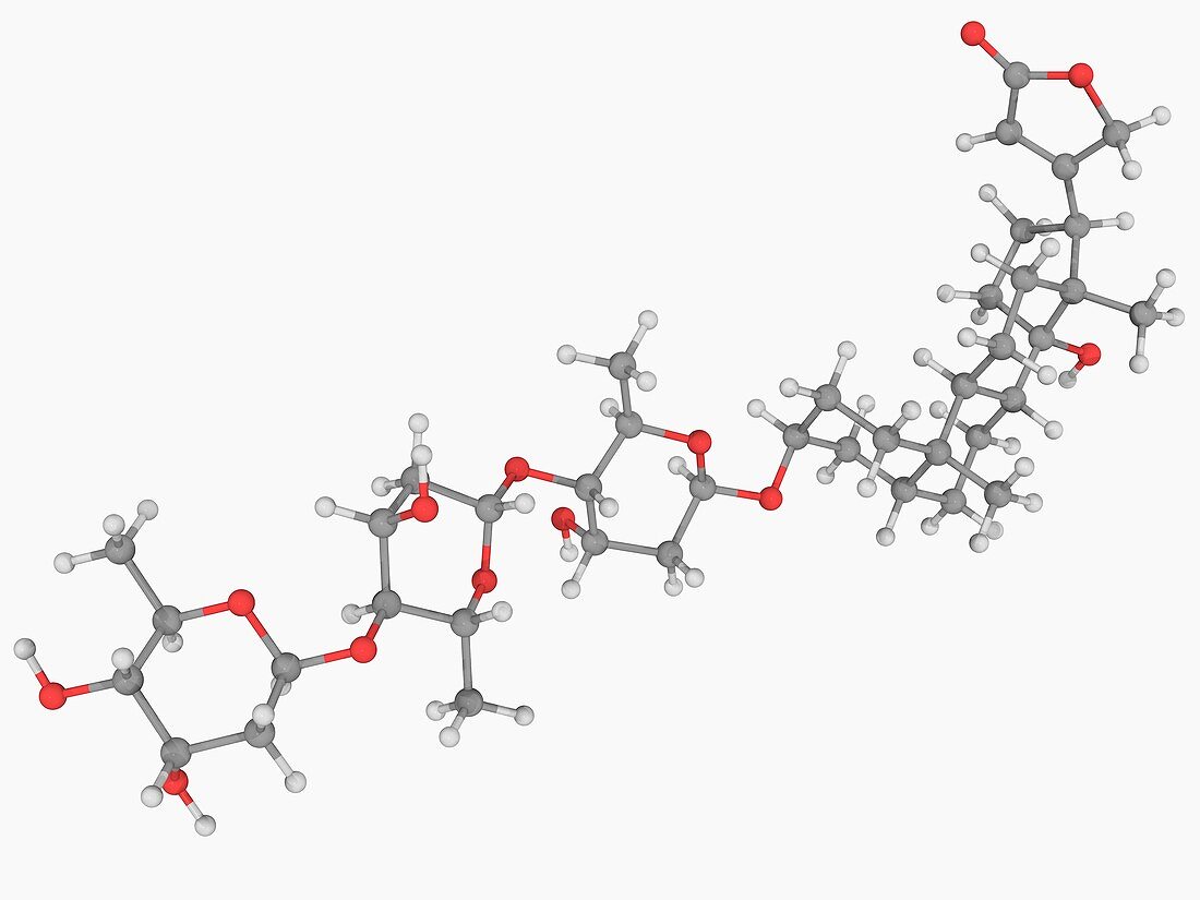 Digitoxin poison molecule