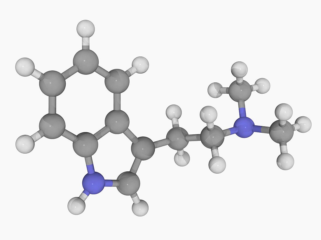 Dimethyltryptamine DMT drug molecule
