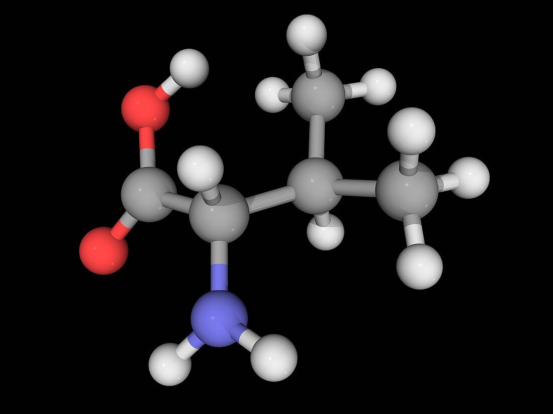 Valine molecule