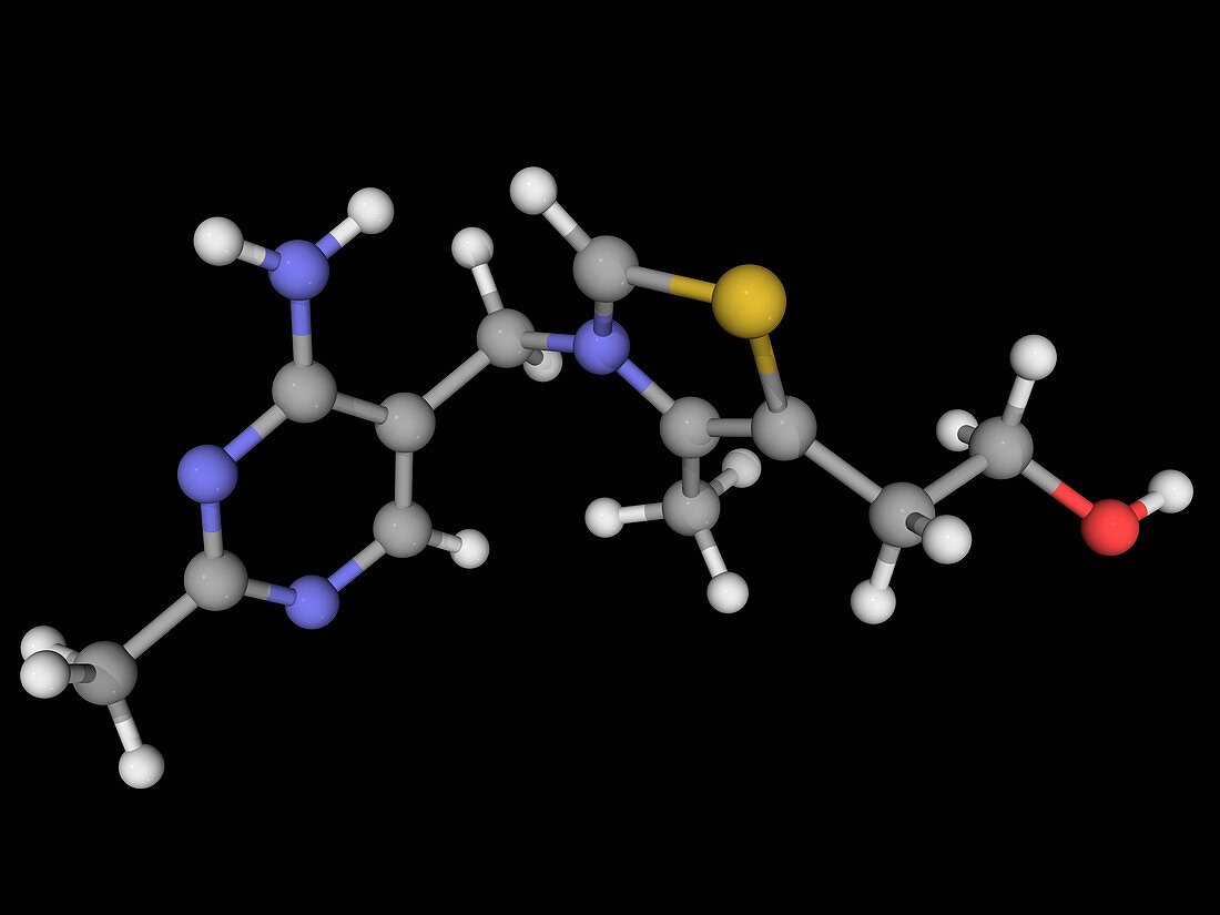 Vitamin B1 thiamine molecule