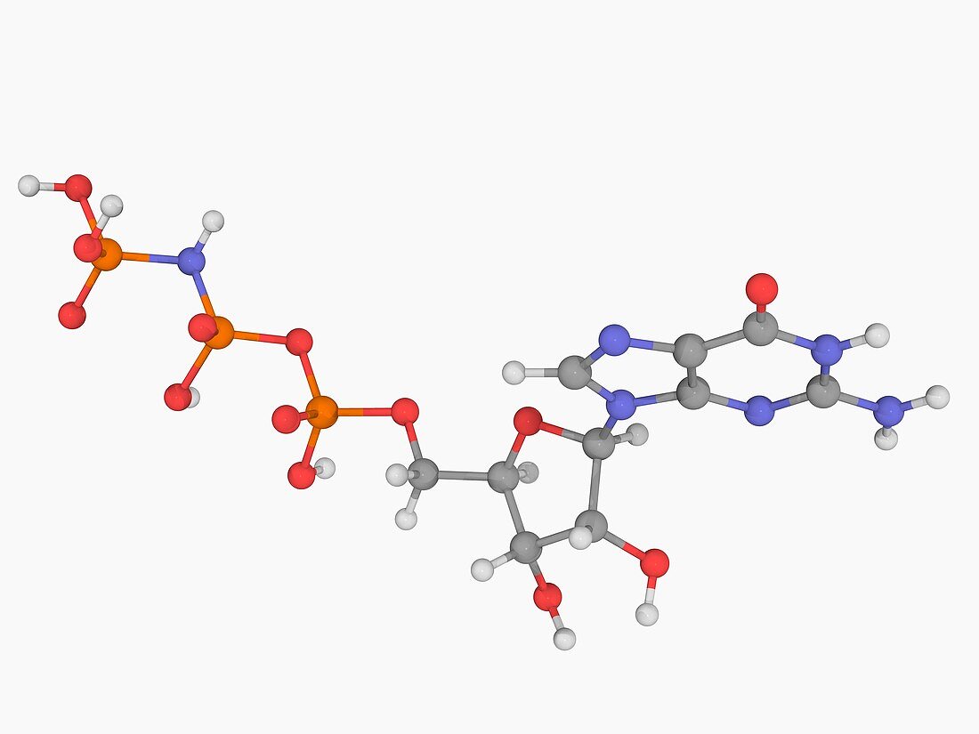 Guanylyl imidodiphosphate molecule