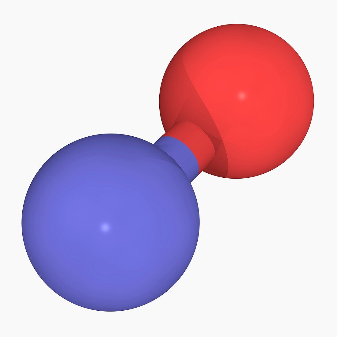 Nitrogen monoxide molecule