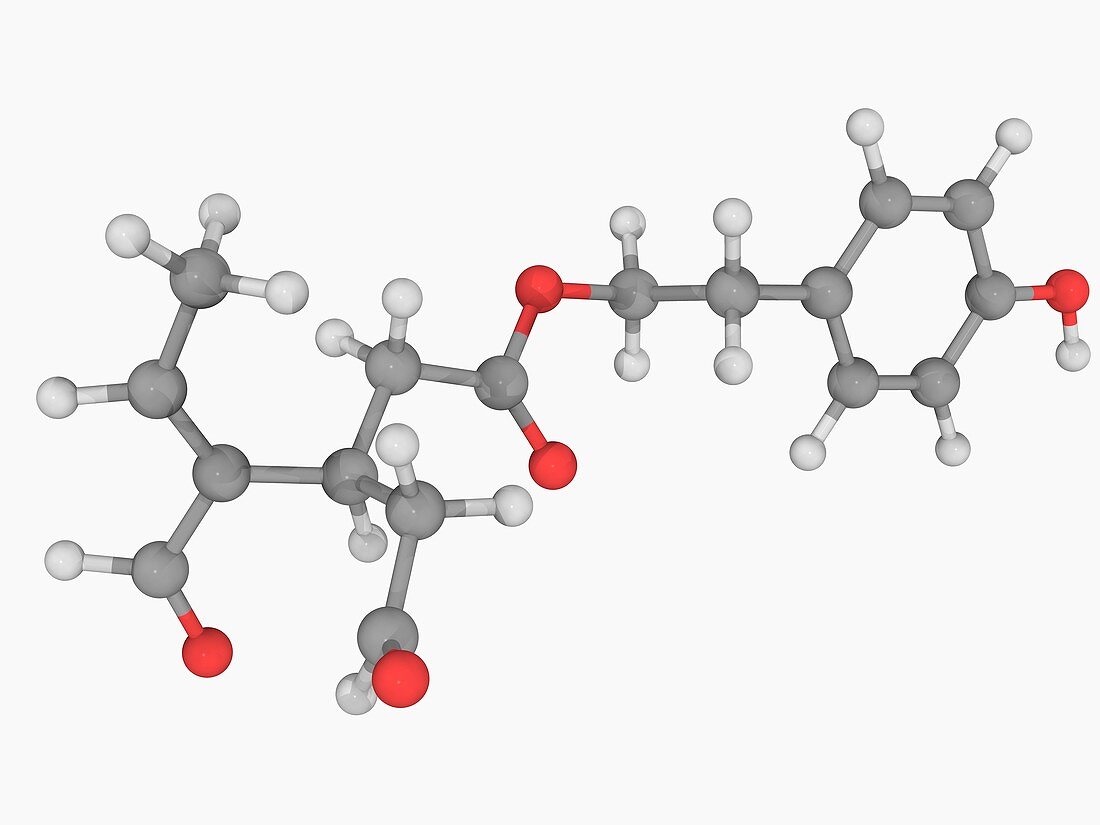 Oleocanthal molecule