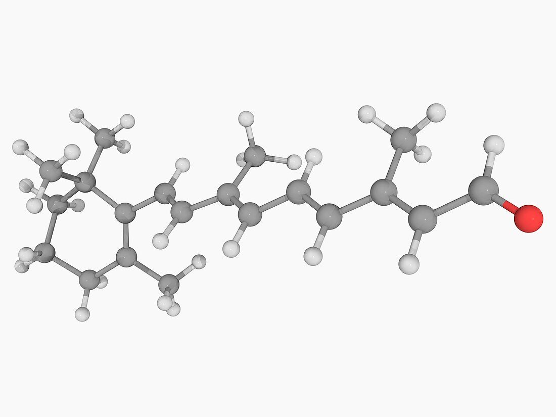 Retinal vitamin A molecule