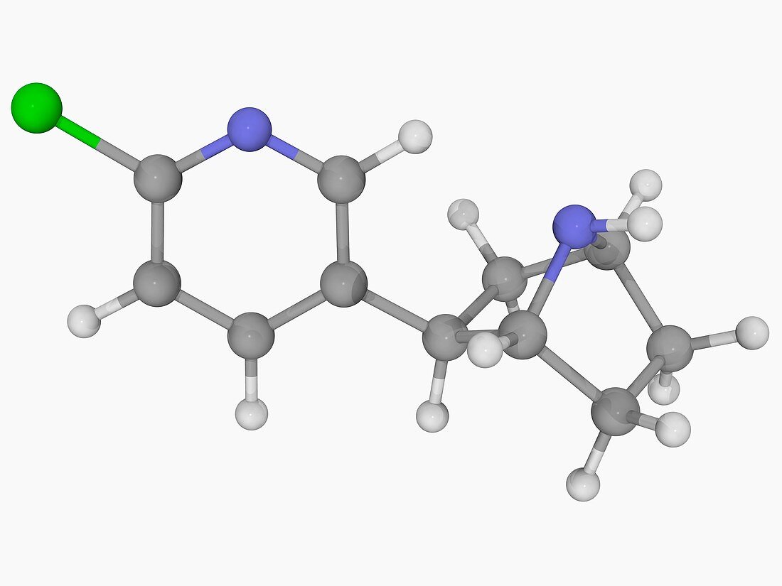 Epibatidine poison molecule