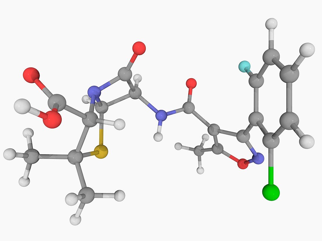 Floxacillin antibiotic molecule