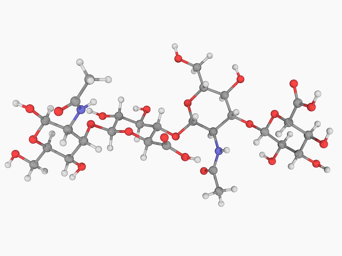 Hyaluronic acid molecule