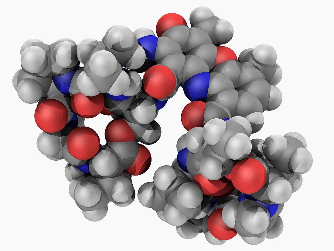 Actinomycin D drug molecule