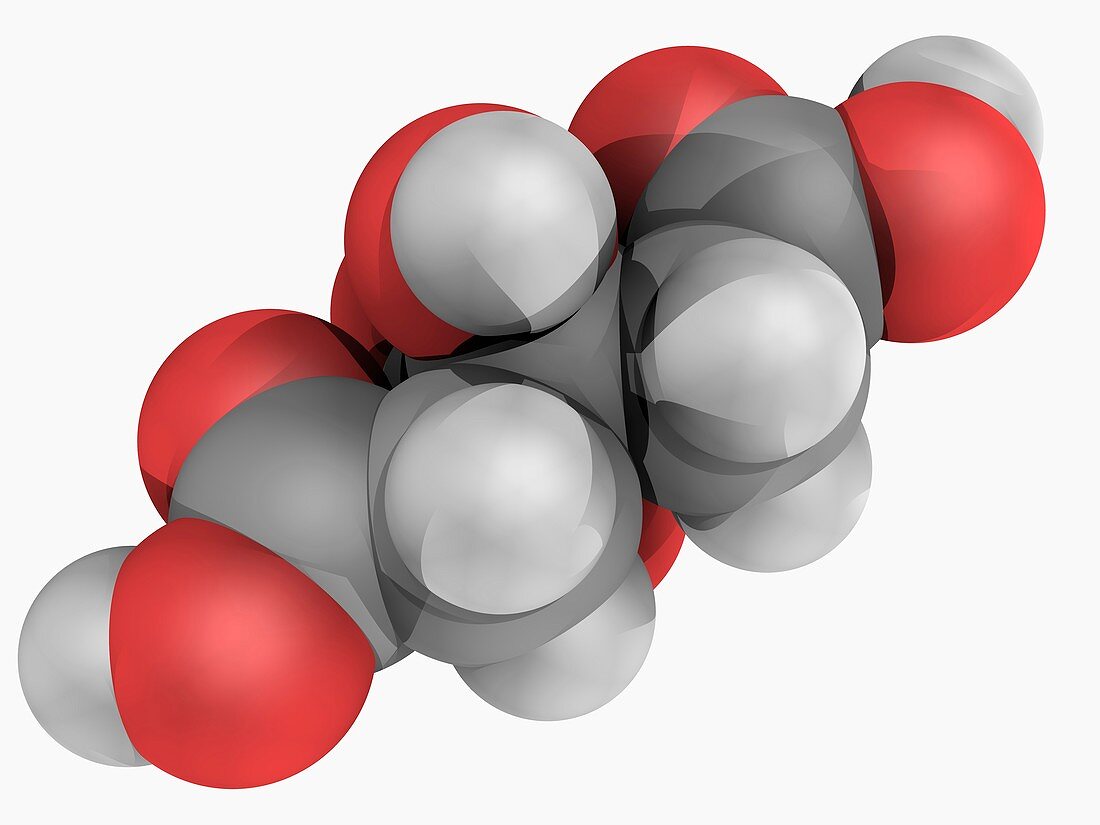 Citric acid molecule