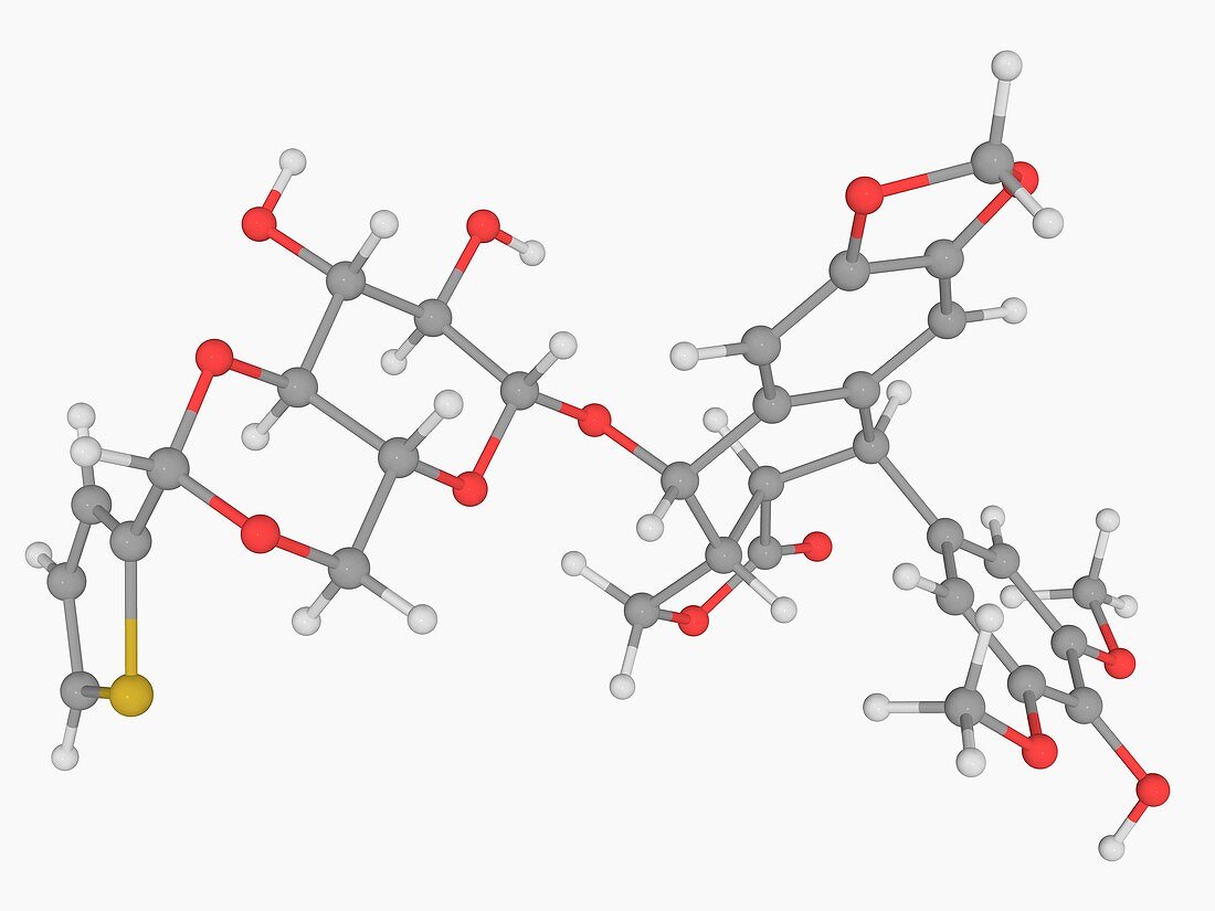 Teniposide drug molecule