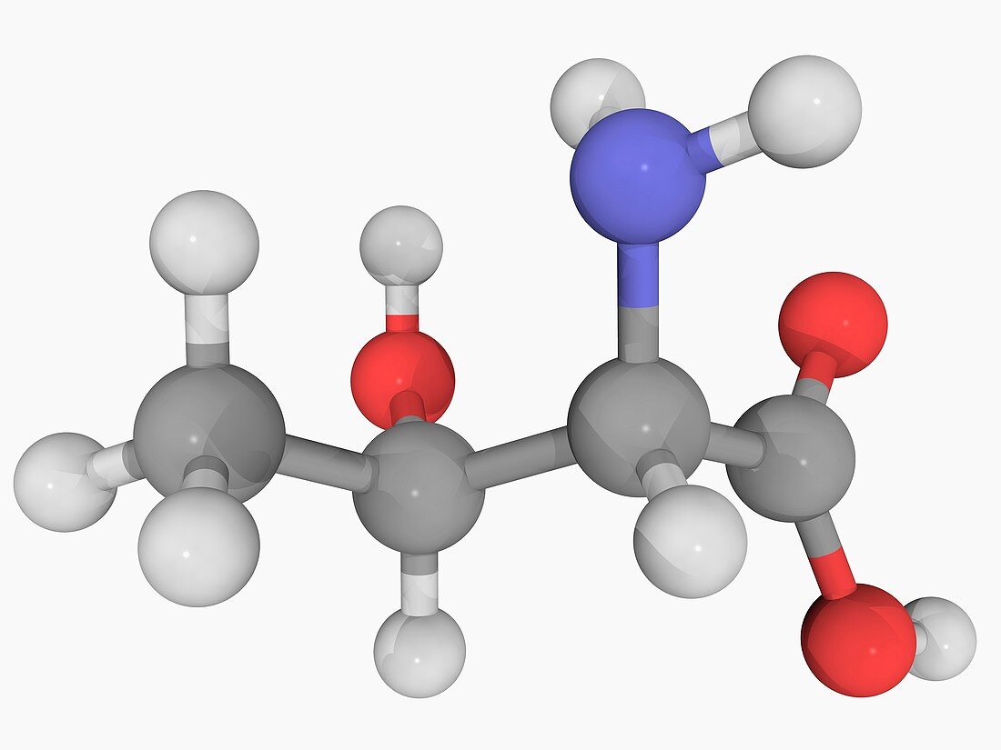 Threonine molecule