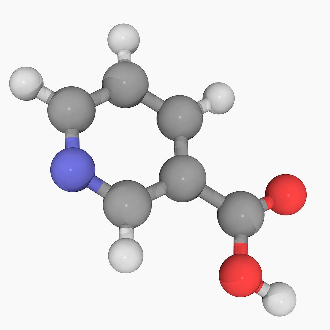 Vitamin B3 nicotinic acid molecule