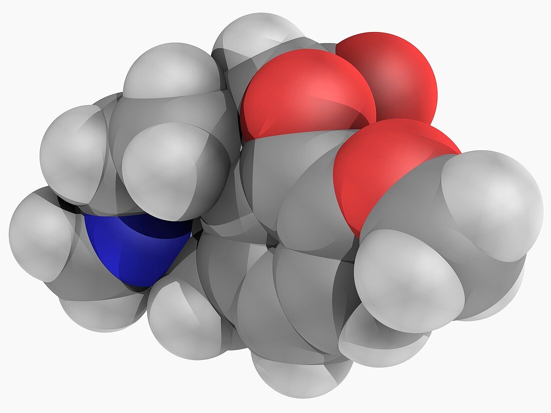 Hydrocodone drug molecule