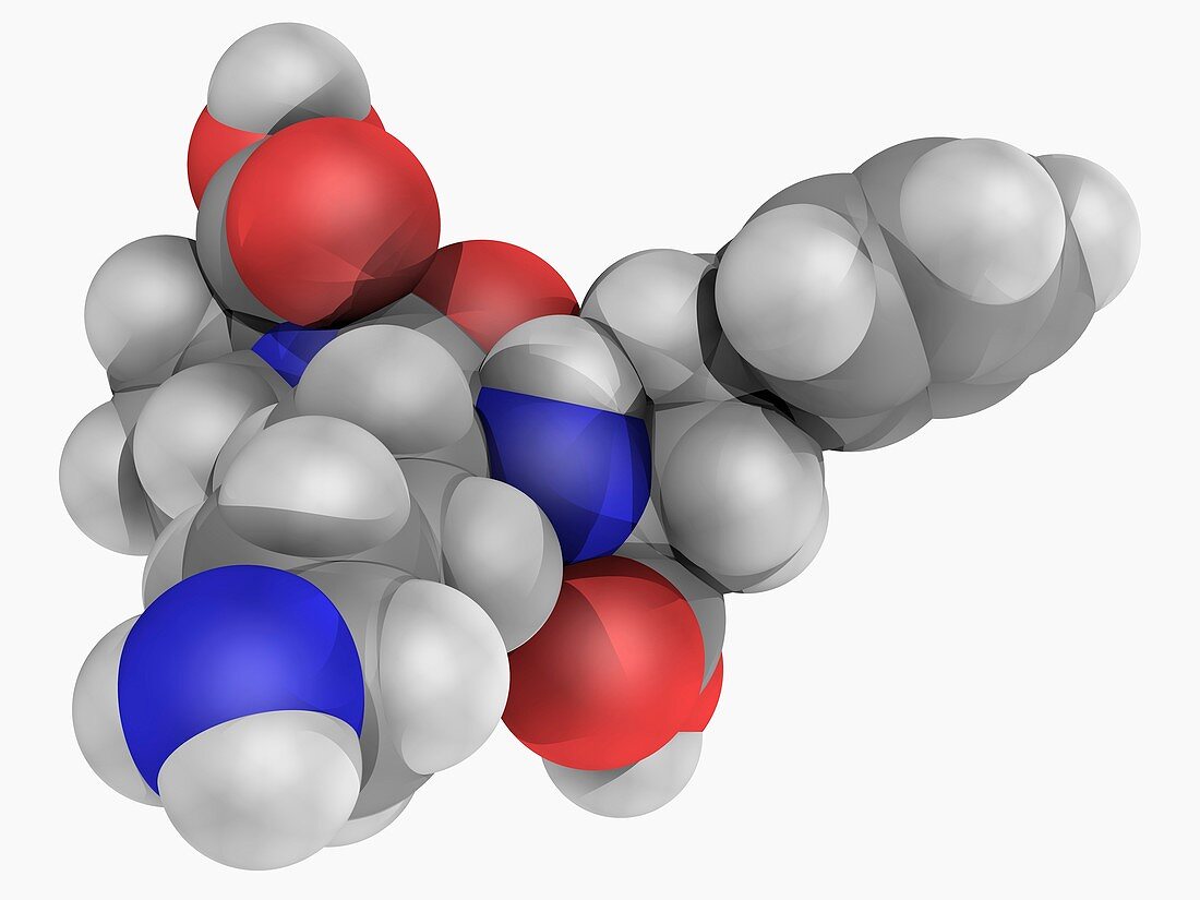 Lisinopril drug molecule