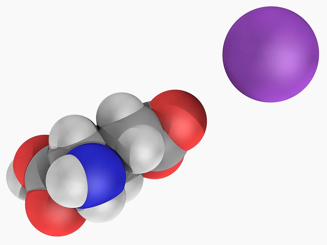 Monosodium glutamate molecule