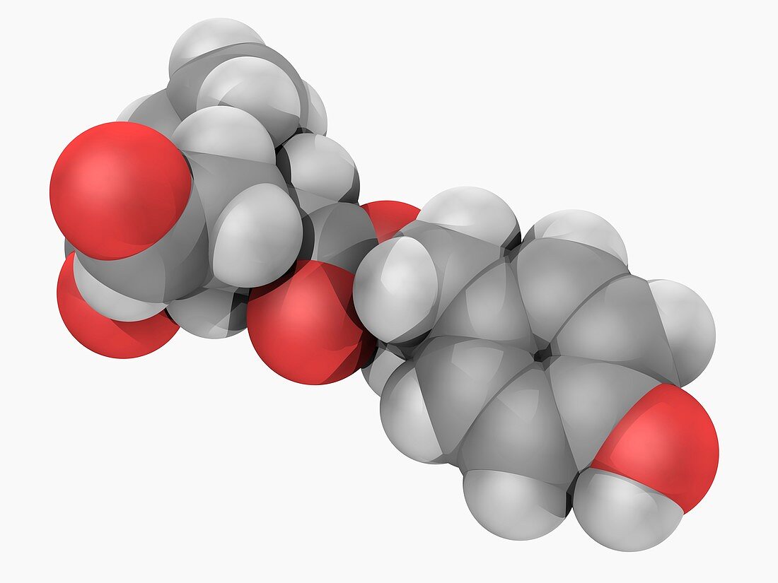 Oleocanthal molecule