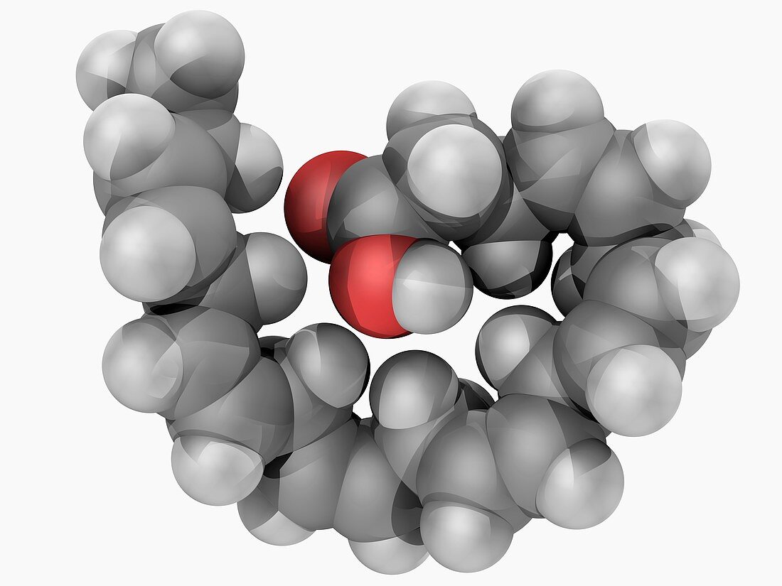 Docosahexaenoic acid molecule