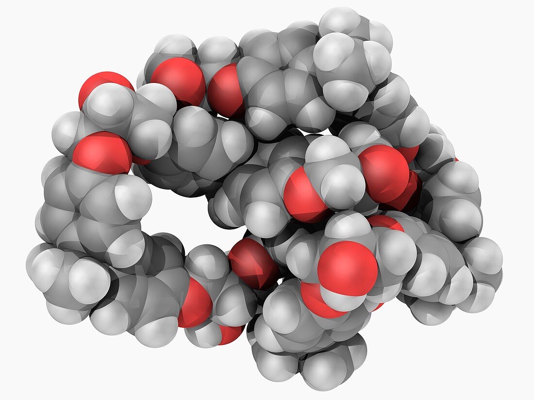 Epoxy resin molecule