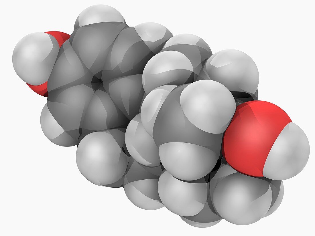 Estradiol hormone molecule