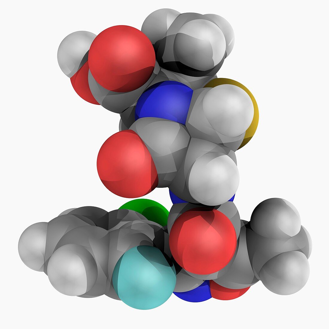 Floxacillin antibiotic molecule