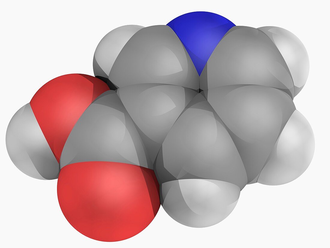 Vitamin B3 nicotinic acid molecule