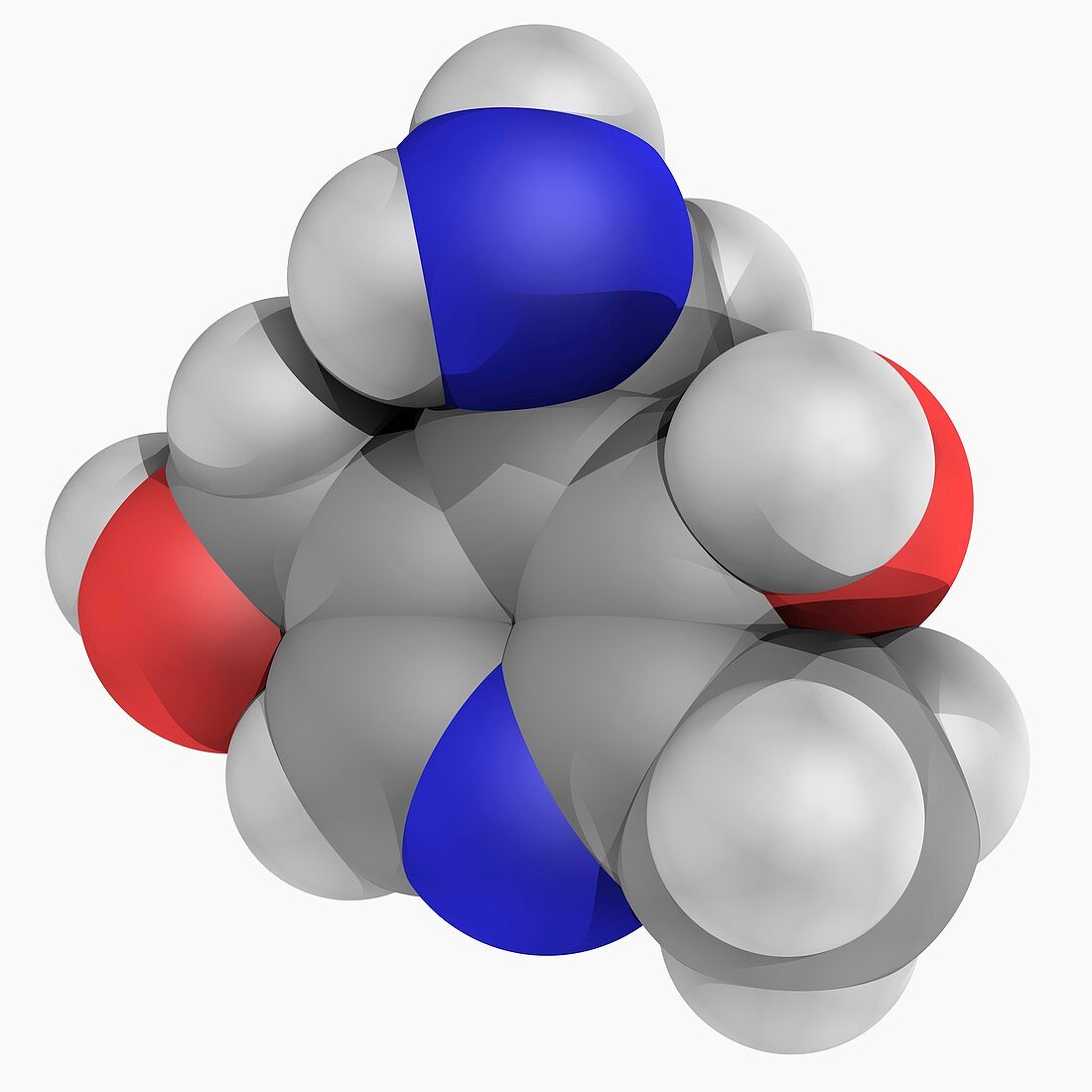 Vitamin B6 pyridoxamine molecule