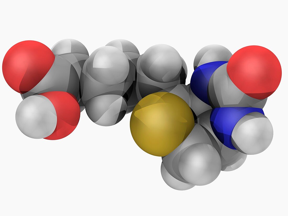 Vitamin B7 biotin molecule