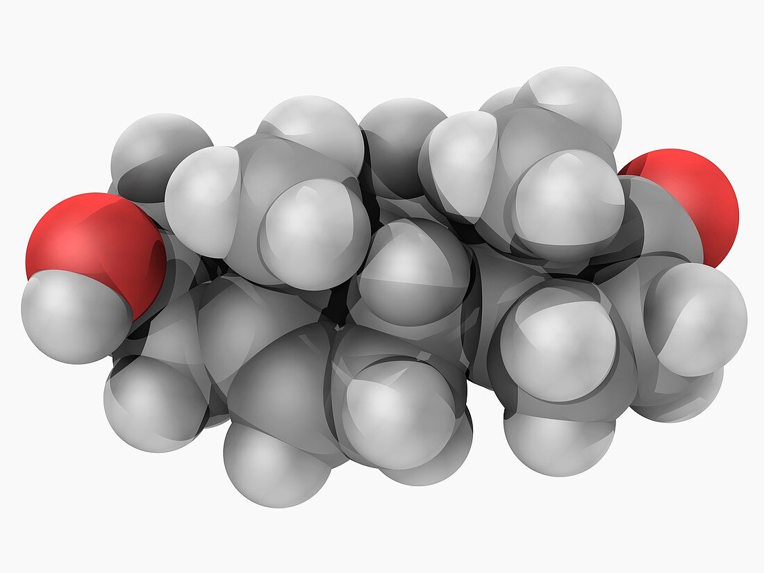 Prasterone hormone molecule