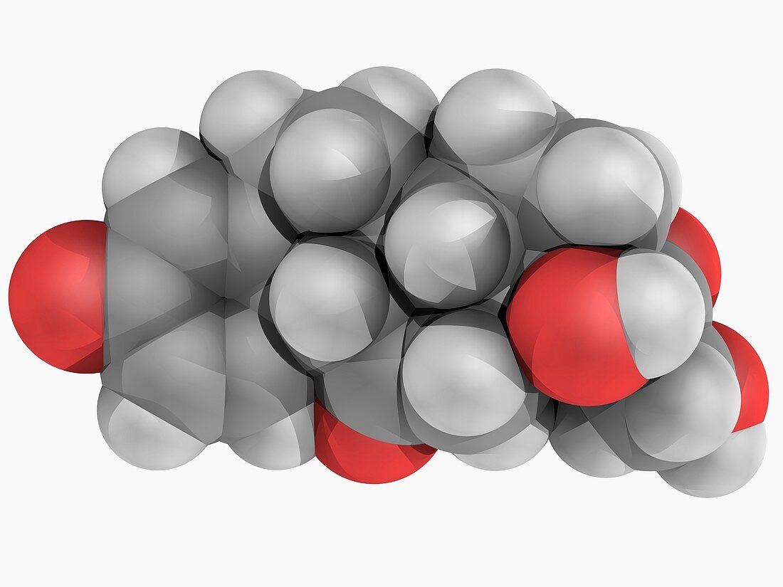 Prednisone drug molecule