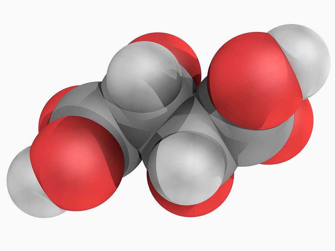 Tartaric acid molecule