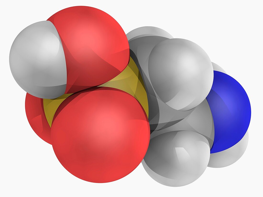 Taurine molecule