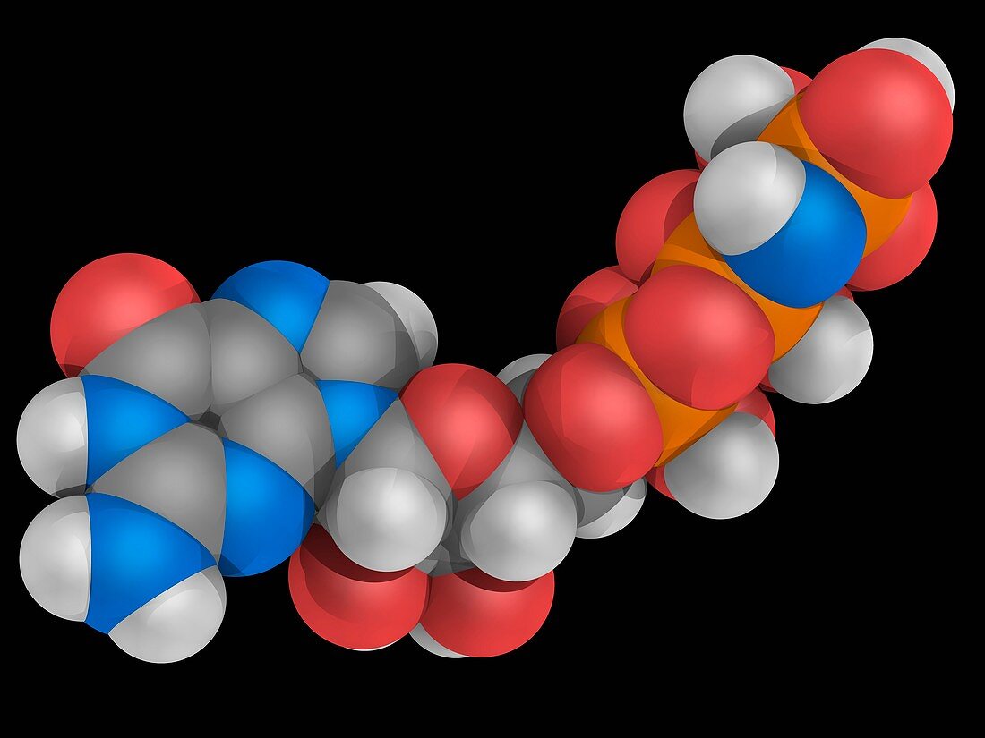 Guanylyl imidodiphosphate molecule