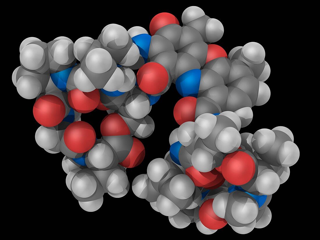 Actinomycin D drug molecule