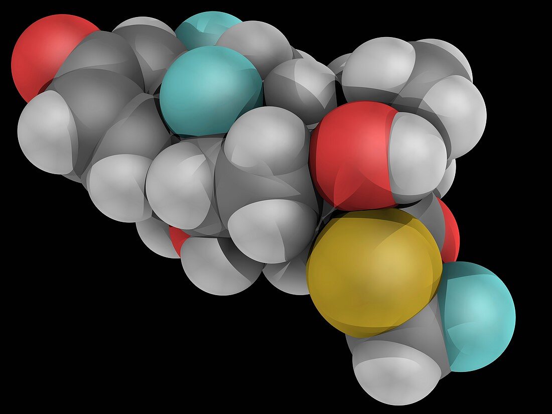 Fluticasone hormone molecule