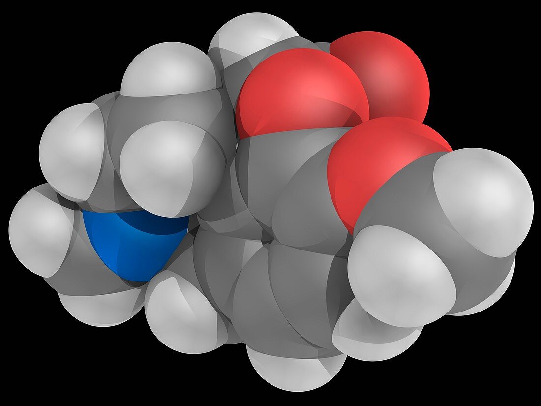 Hydrocodone drug molecule