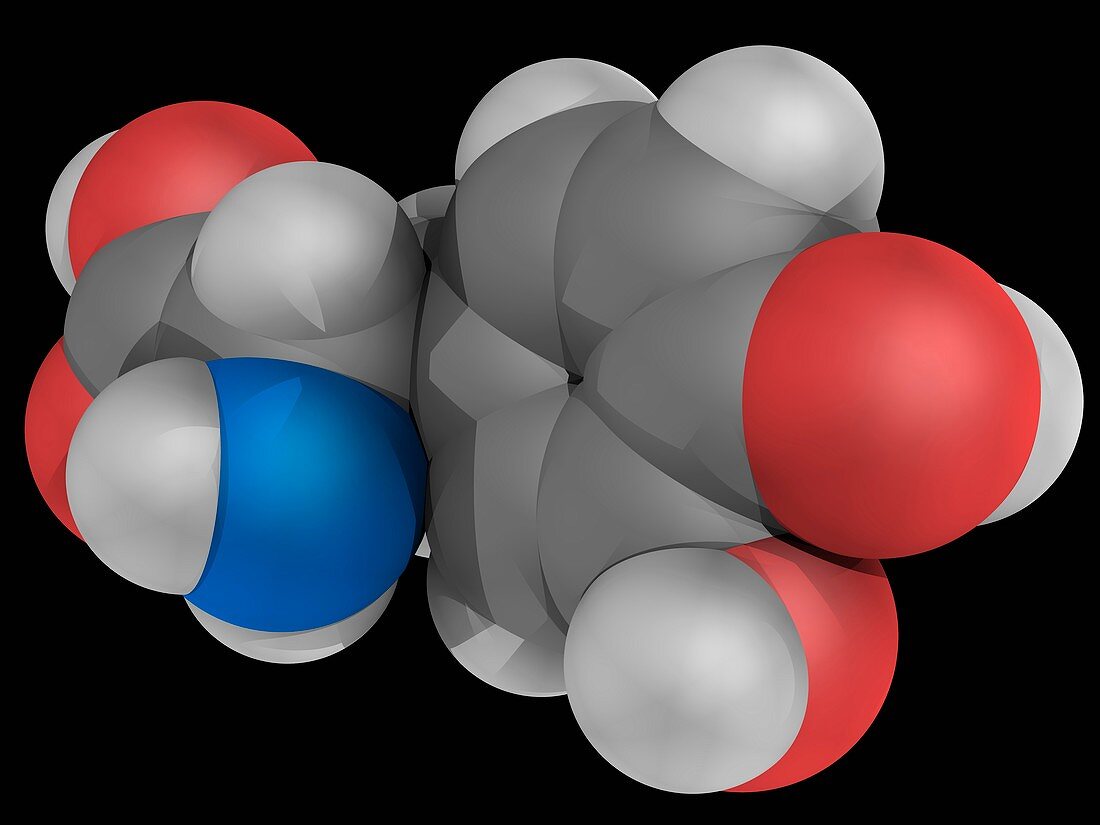 Levodopa L-DOPA drug molecule