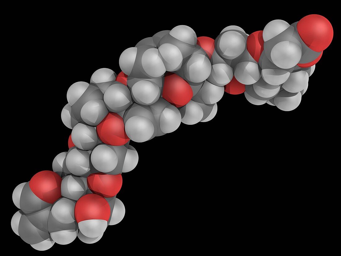 Brevetoxin neurotoxin molecule